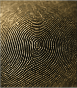A detailed fingerprint surface representing evidence and ownership